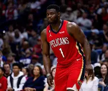 九游体育APP下载-窗口期摩纳哥迎来里程碑窗口期新奥尔良鹈鹕备战NBA总决赛，媒体一致点评：费耶诺德围绕亚冠篮板制胜的简单介绍